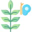 Plant アイコン 64x64
