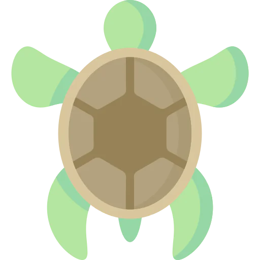 Turtle 图标