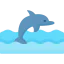 Dolphin アイコン 64x64