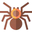 Tarantula icon 64x64