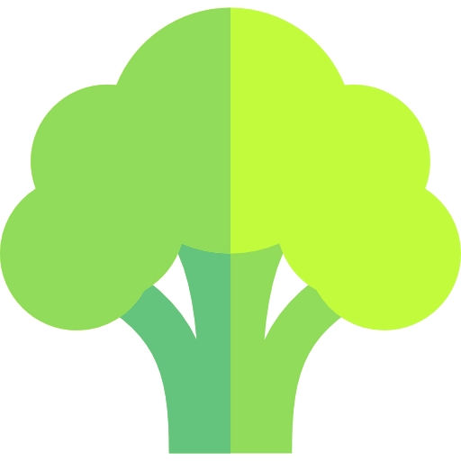Broccoli icon