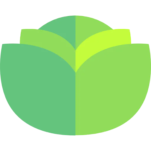 Lettuce icon