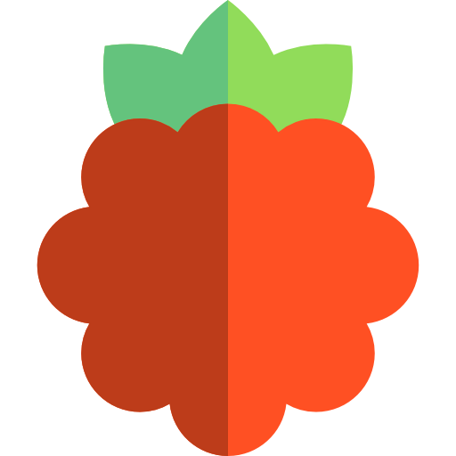 Raspberry ícono