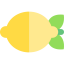 Lemon ícono 64x64