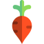 Radish ícono 64x64