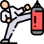 Martial arts icon 64x64