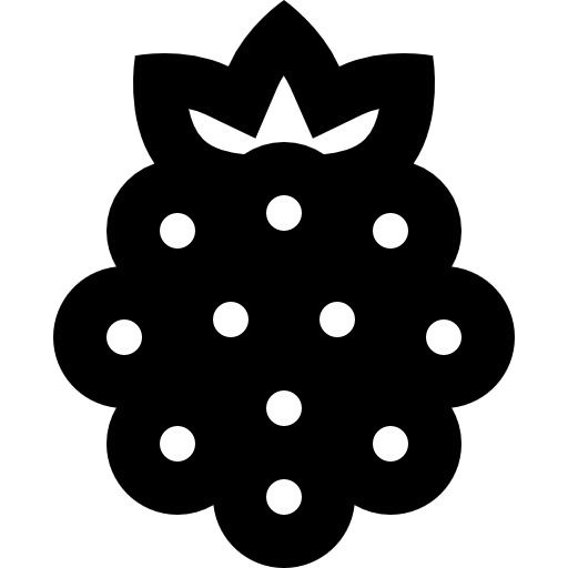 Raspberry ícono