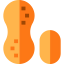 Peanut icon 64x64
