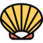 Shell icon 64x64