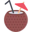 Coconut 图标 64x64