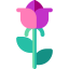Rose 图标 64x64