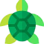 Turtle icon 64x64