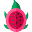 Dragon fruit Symbol 64x64
