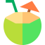 Coconut Symbol 64x64