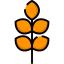 Barley 图标 64x64