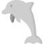Dolphin icon 64x64
