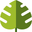 Monstera leaf biểu tượng 64x64