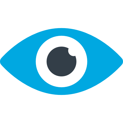 Vision icon