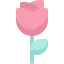 Flower icon 64x64