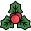 Mistletoe icon 64x64