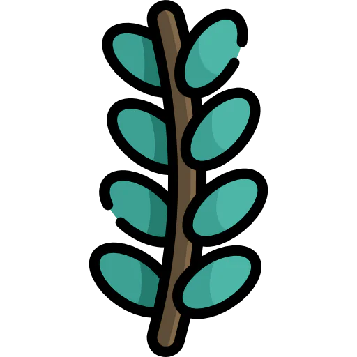 Branch icon