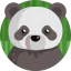 Panda icon 64x64