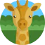 Giraffe icon 64x64