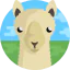 Llama icon 64x64
