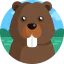 Beaver icon 64x64