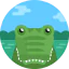 Crocodile icon 64x64