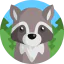 Raccoon icon 64x64