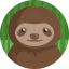 Sloth icon 64x64