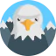 Eagle icon 64x64