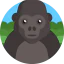 Gorilla icon 64x64