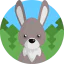 Rabbit icon 64x64