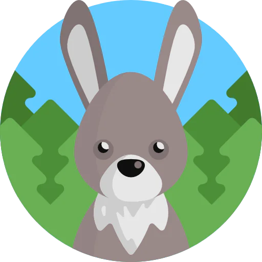 Rabbit icon