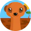 Meerkat icon 64x64