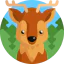 Deer icon 64x64