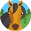 Horse icon 64x64