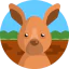 Kangaroo icon 64x64