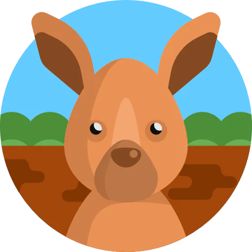 Kangaroo icon