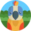 Parrot icon 64x64