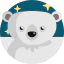 Bear icon 64x64