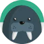 Walrus icon 64x64