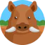 Boar icon 64x64