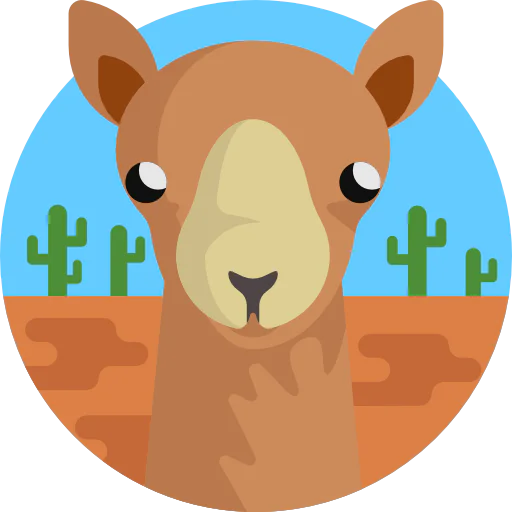 Camel icon