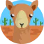 Camel icon 64x64