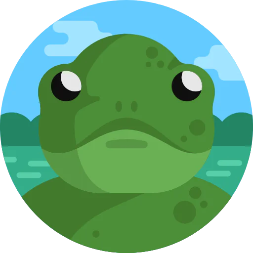 Frog icon