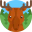 Elk icon 64x64