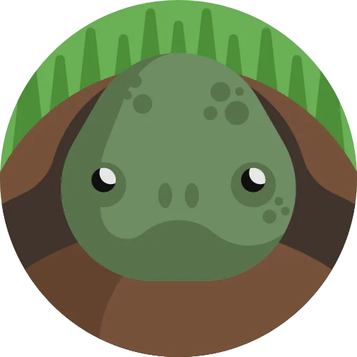 Turtle icon